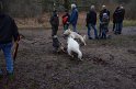 Wandertag 2016 - 076